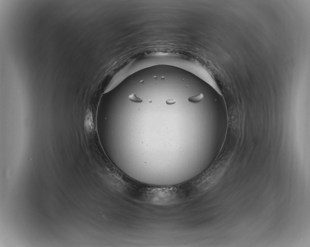 X0000108480089200904091446