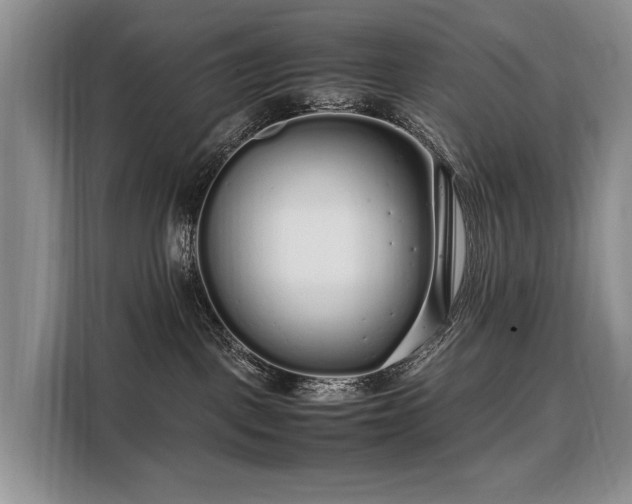 X0000108480093200904091446
