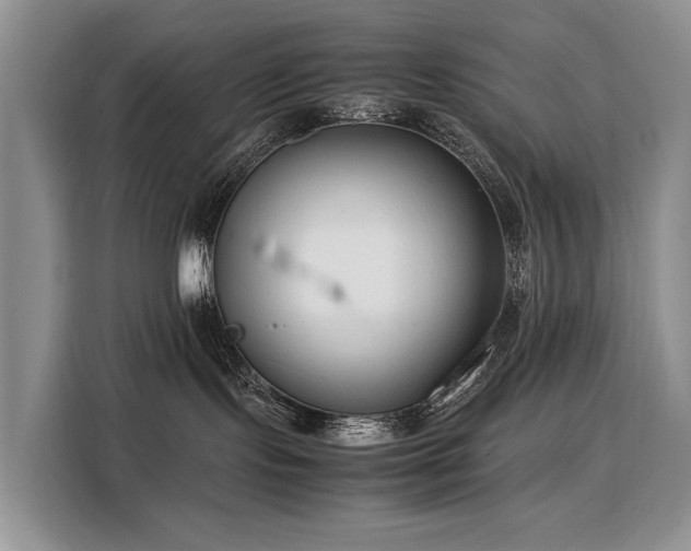 X0000108480095200904091446