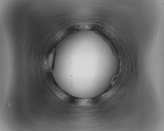 X0000108480096200904091446