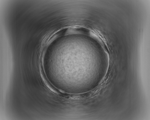 X0000108480097200904091445