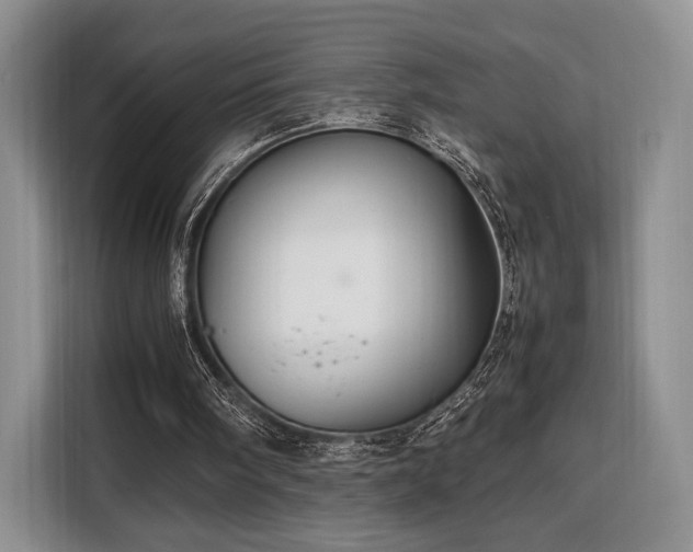 X0000108480098200904091445