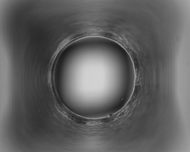 X0000108480099200904091445