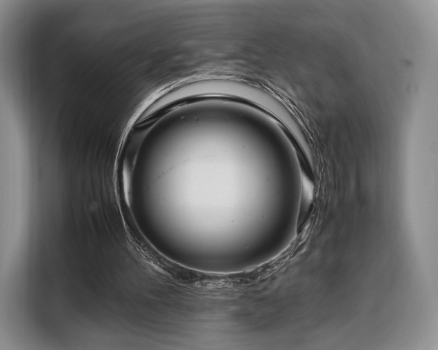 X0000108480100200904091445