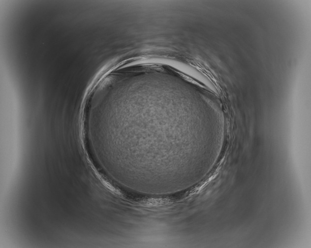 X0000108480101200904091445
