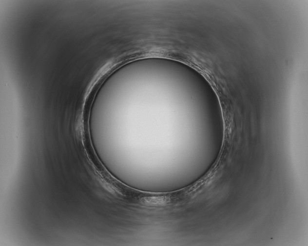 X0000108480102200904091445