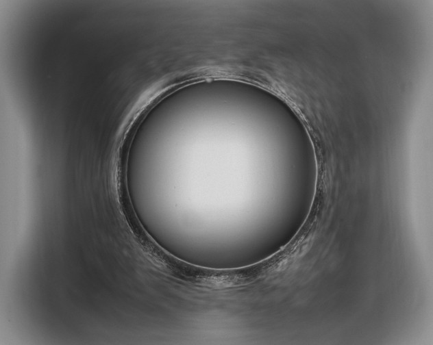 X0000108480103200904091445