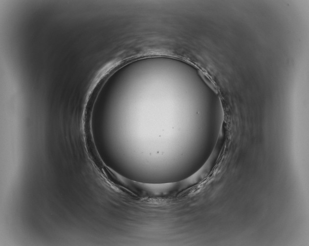 X0000108480104200904091445