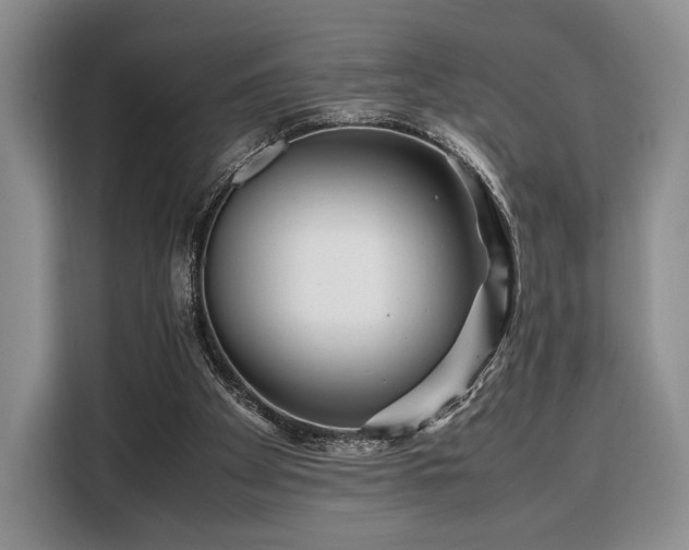 X0000108480105200904091445