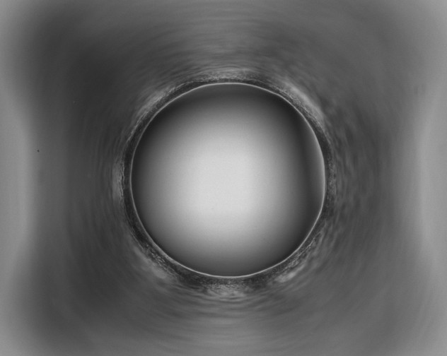 X0000108480107200904091445