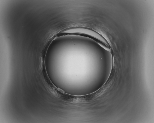X0000108480109200904091445