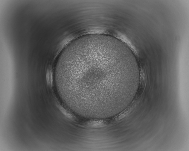 X0000108480110200904091445