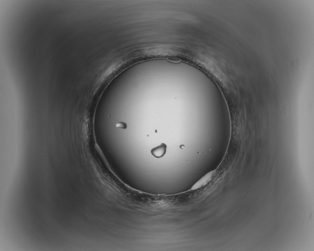 X0000108480111200904091445