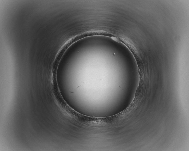 X0000108480112200904091445