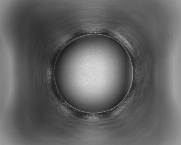 X0000108480113200904091445