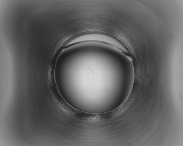 X0000108480116200904091445
