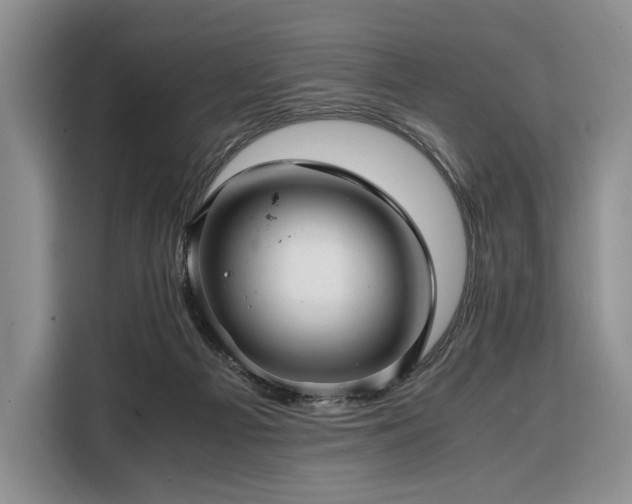 X0000108480121200904091445