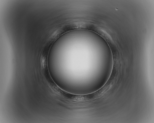 X0000108480123200904091445