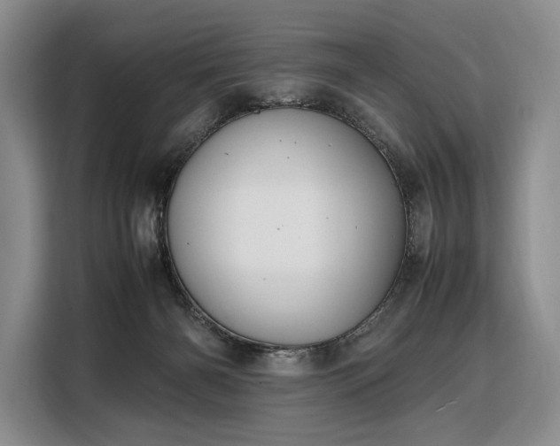 X0000108480126200904091445