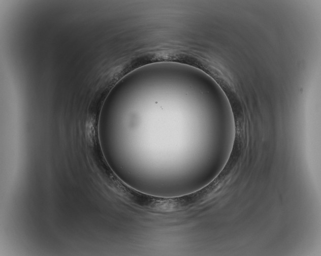 X0000108480127200904091445
