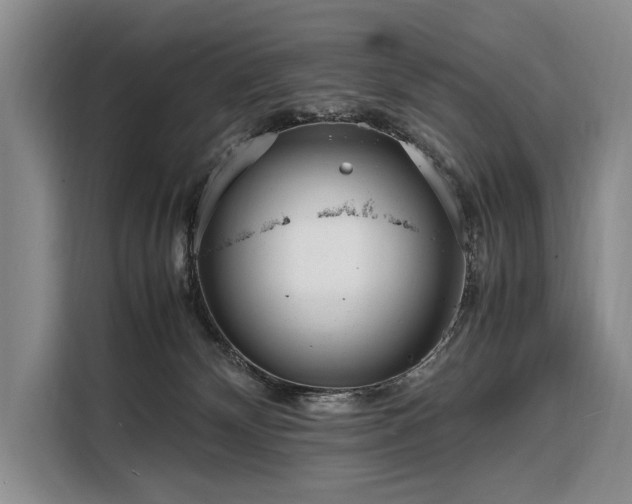 X0000108480132200904091445