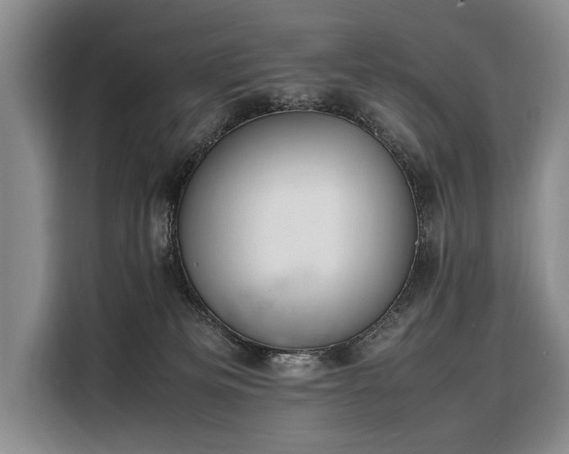 X0000108480133200904091445