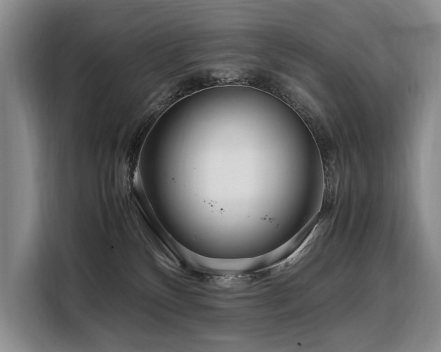 X0000108480136200904091445