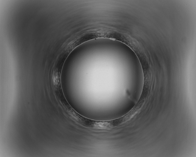 X0000108480137200904091445