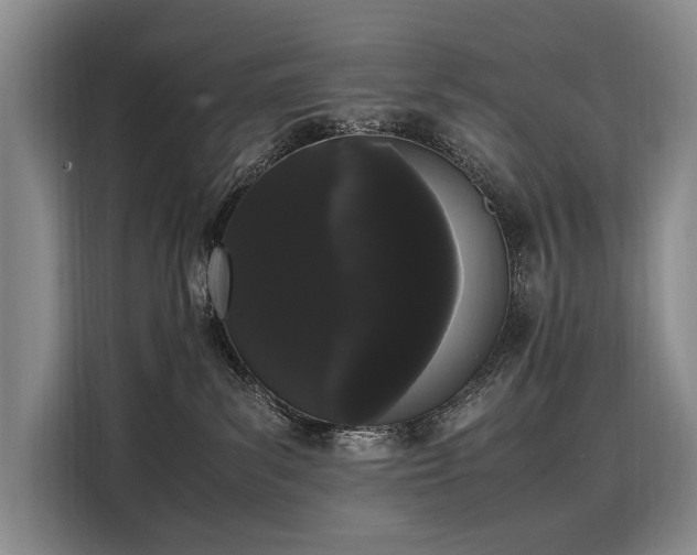 X0000108480139200904091445