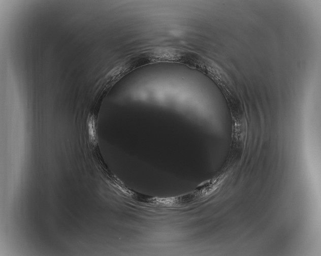 X0000108480143200904091445