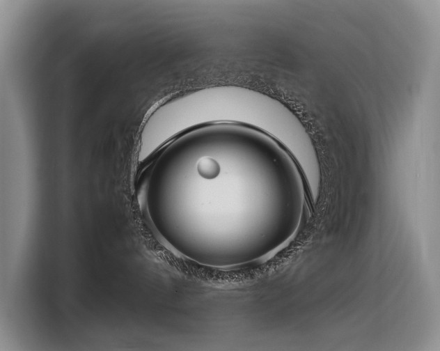 X0000108480144200904091445