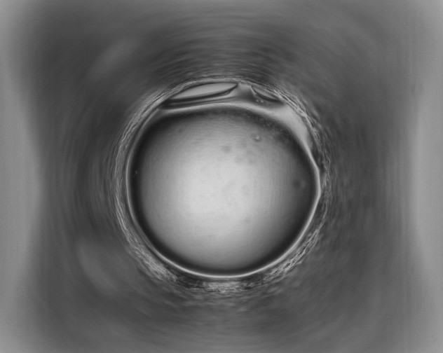 X0000108480145200904091444