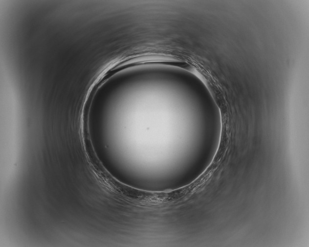 X0000108480148200904091444