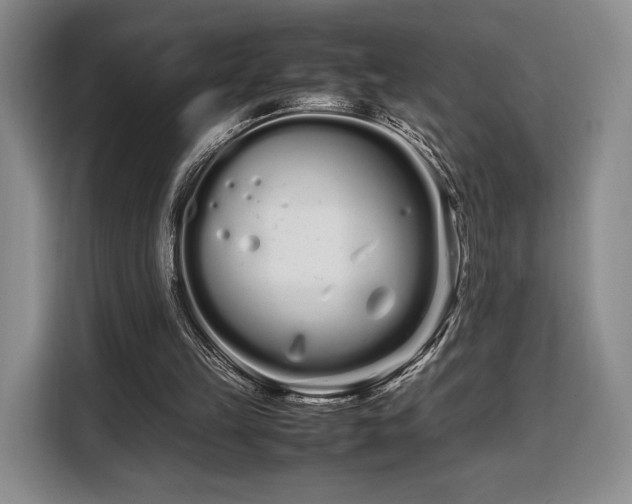 X0000108480149200904091444