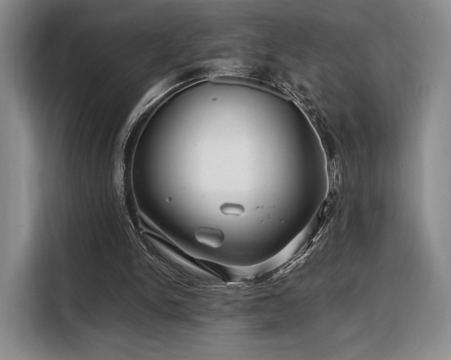 X0000108480150200904091444