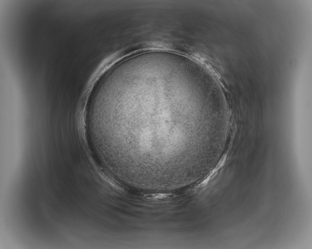 X0000108480151200904091444
