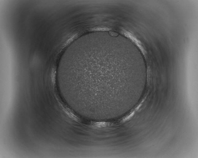 X0000108480153200904091444