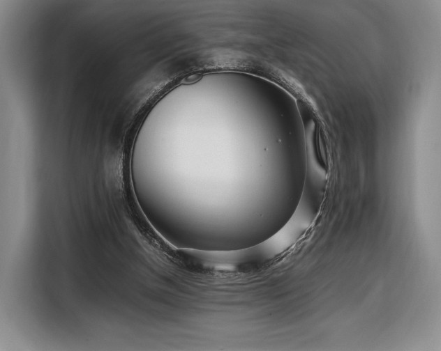 X0000108480154200904091444