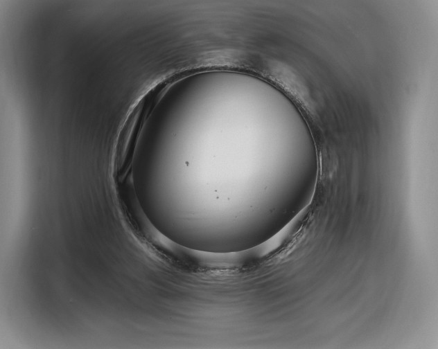 X0000108480156200904091444
