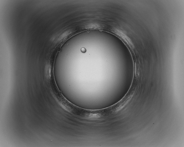 X0000108480157200904091444