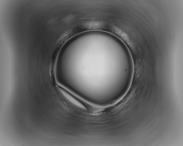 X0000108480161200904091444