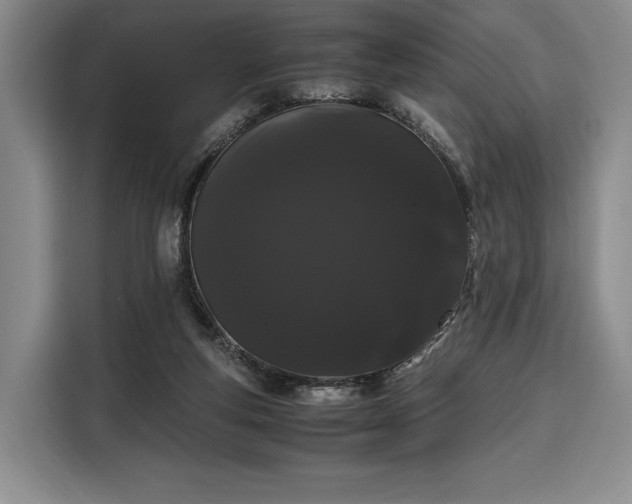 X0000108480163200904091444
