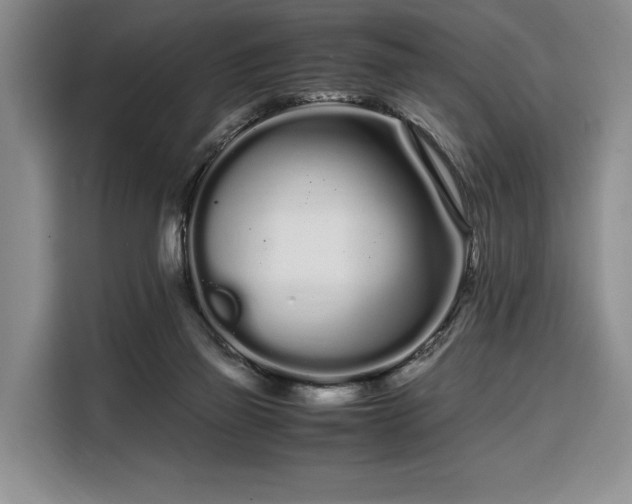 X0000108480165200904091444