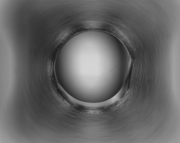 X0000108480168200904091444