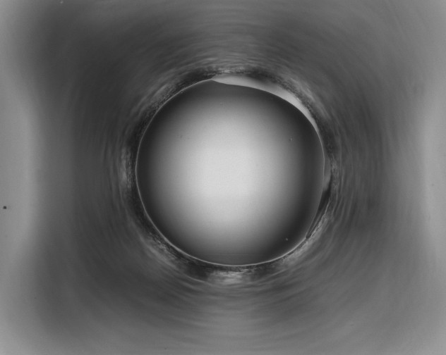 X0000108480170200904091444