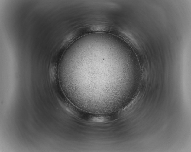X0000108480171200904091444