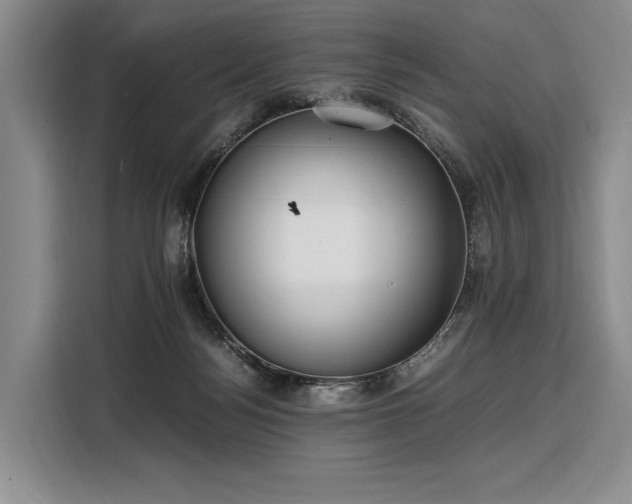 X0000108480172200904091444