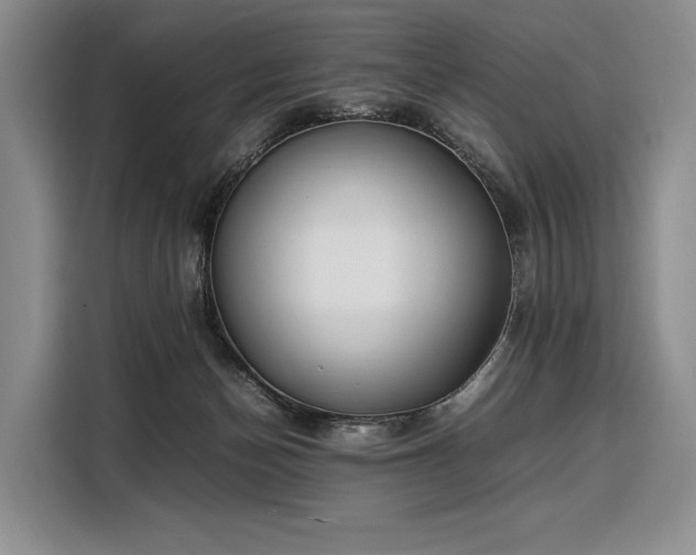 X0000108480174200904091444