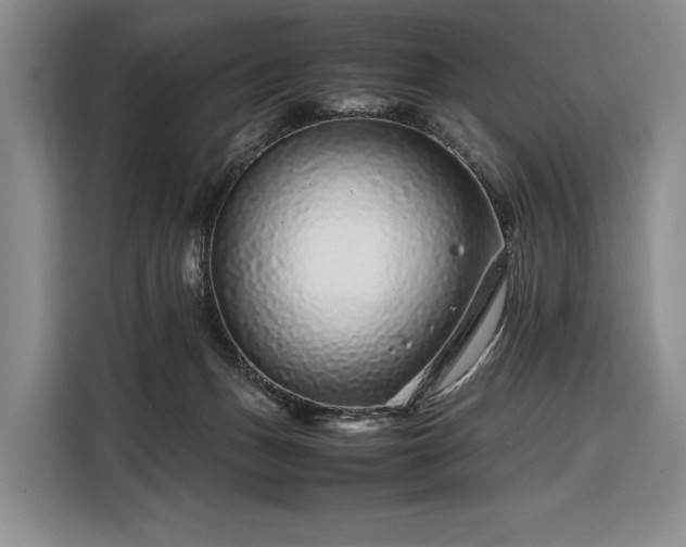 X0000108480175200904091444