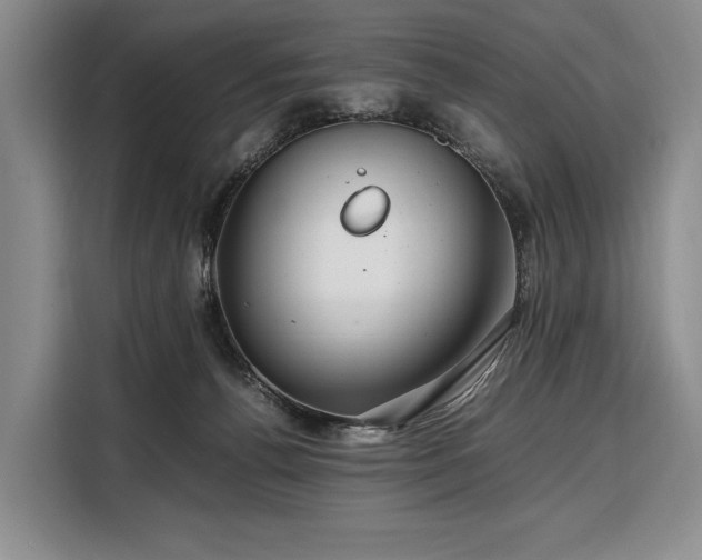 X0000108480176200904091444